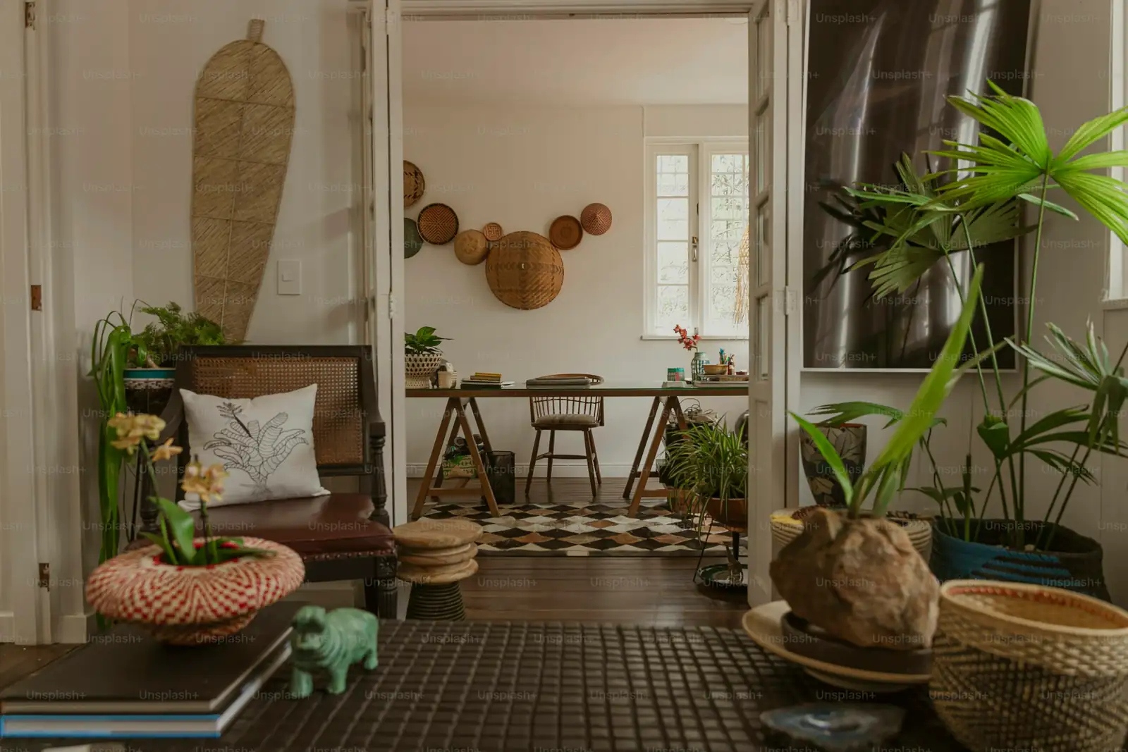 Green Elegance: Designing Stunning Indoor Spaces with Maidenhair Fern