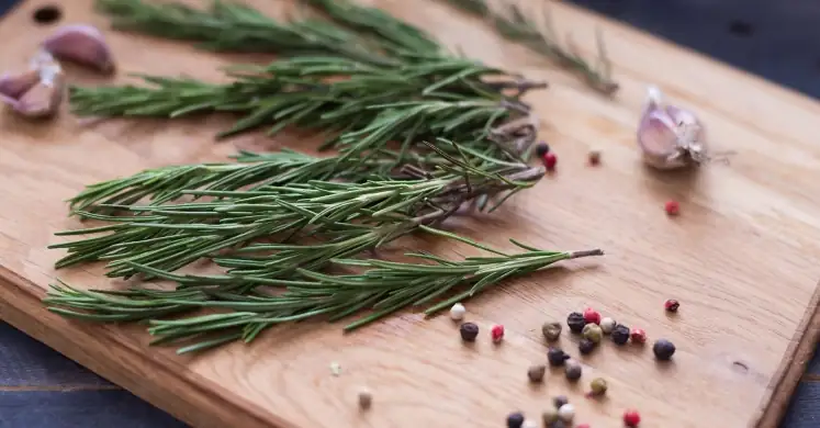 rosemary in cooking