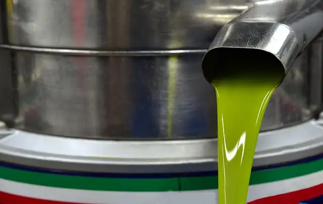 olive oil extraction centrifuge