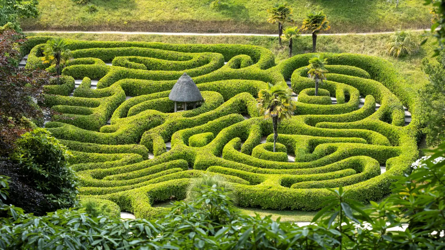 boxwood maze garden aerial view