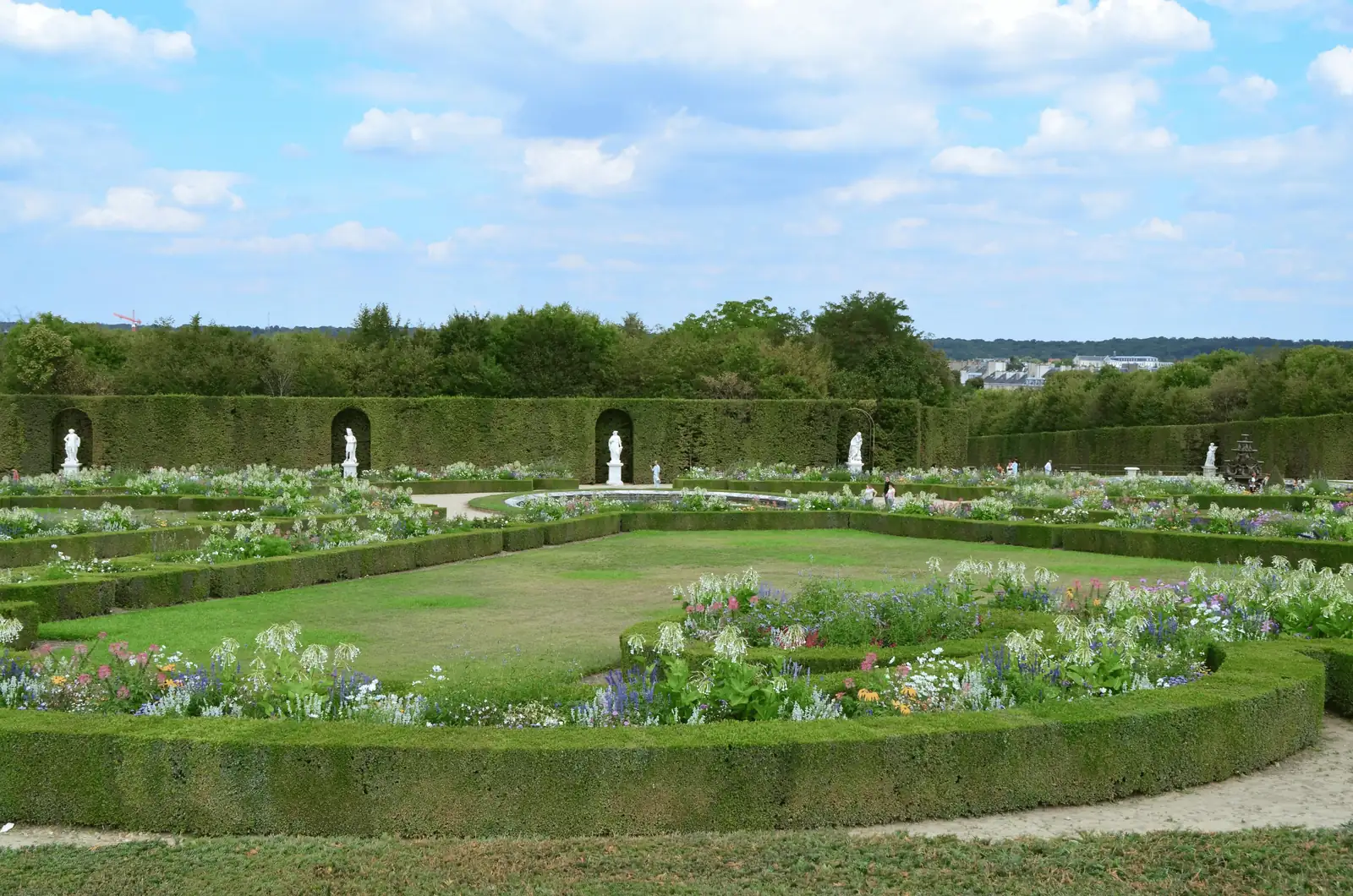 Boxwood Companions: Designing a Harmonious Garden Landscape