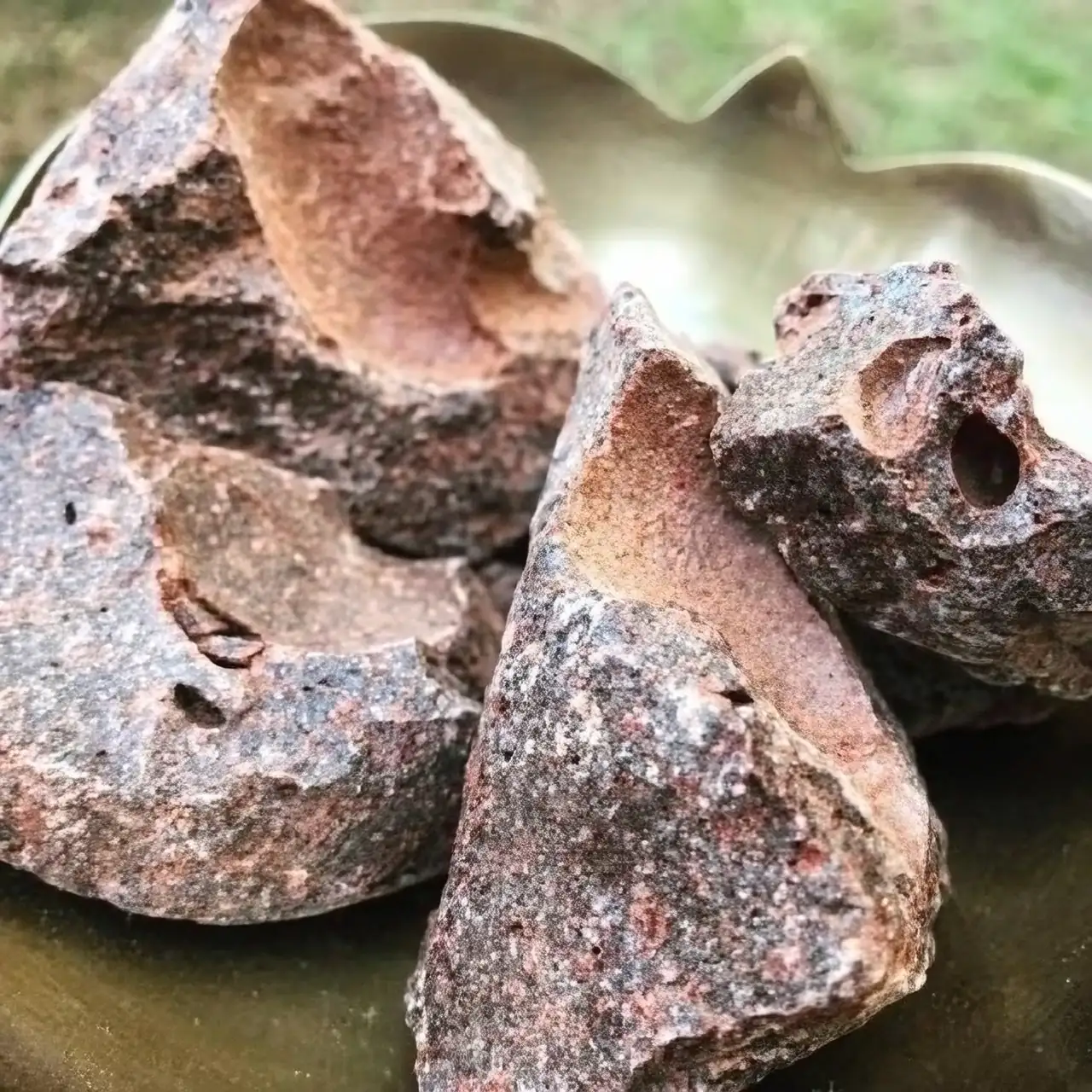 dragon tree resin collection