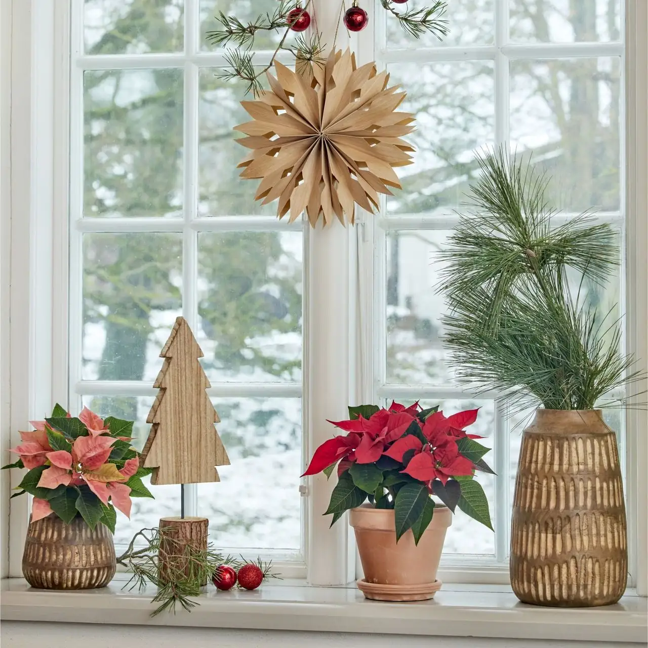 cyclamen on windowsill winter decor