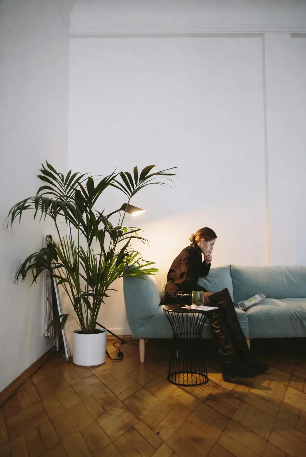 Mastering Lady Palm Care: From Watering Routines to Light Preferences