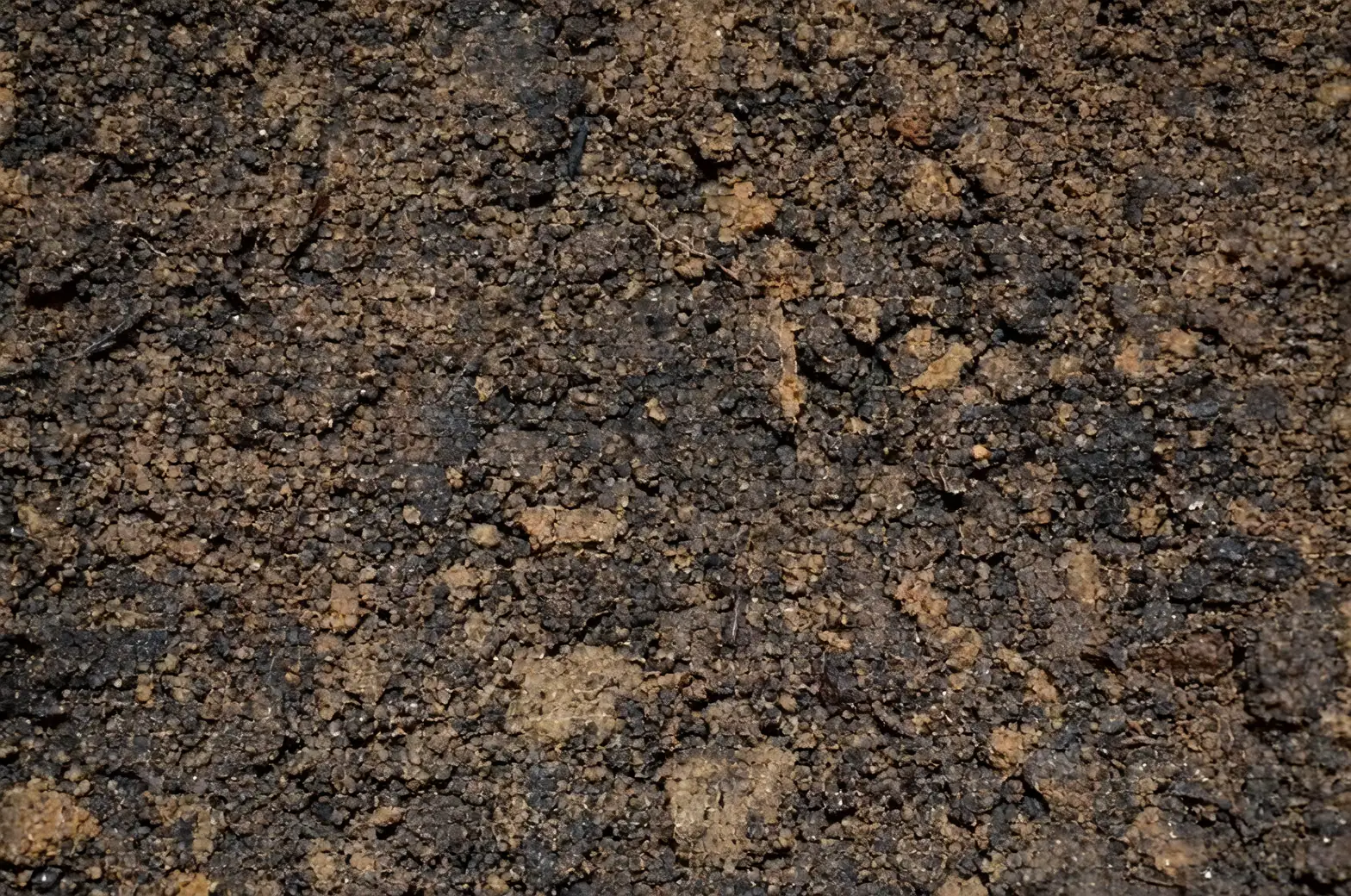 lady palm potting soil mix