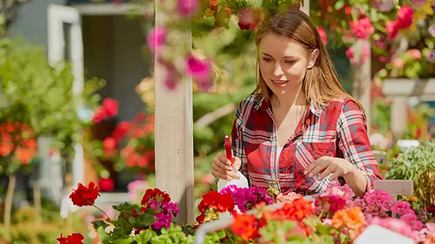 applying insecticidal soap on plants