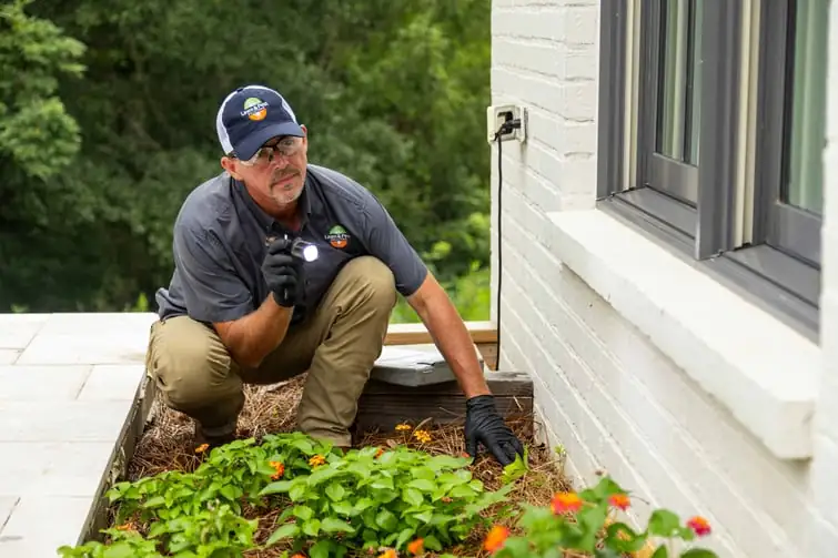 yarrow pest inspection