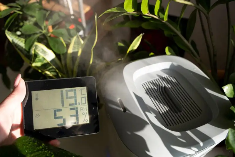 indoor garden with humidifier