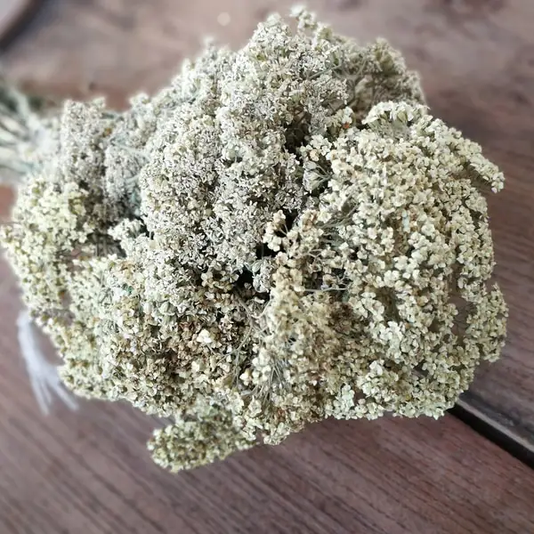 Designing with Yarrow: Transform Your Space with Unconventional Floral Arrangements
