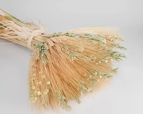 yarrow with wheat stalks arrangement