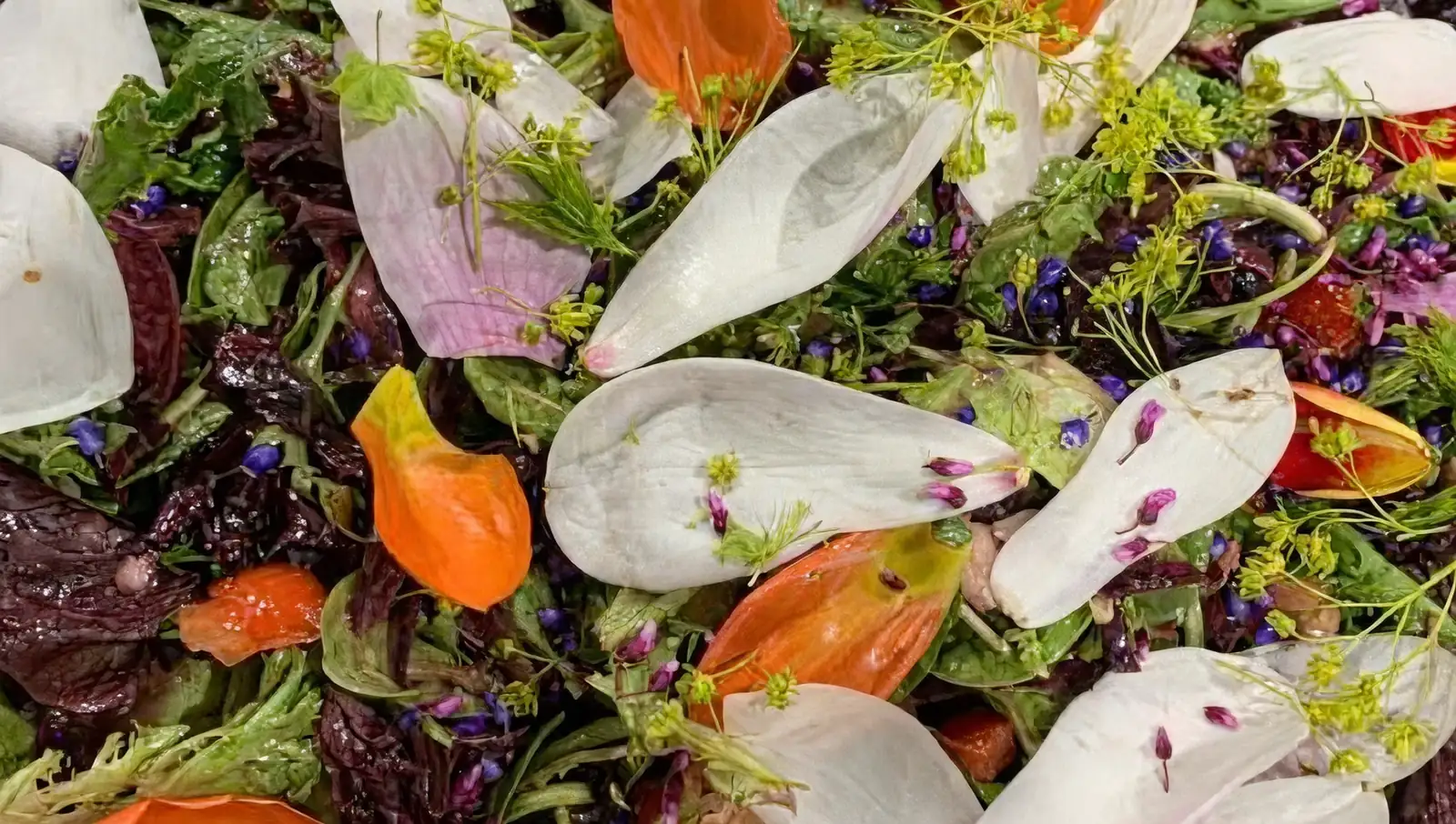 magnolia petals in salad