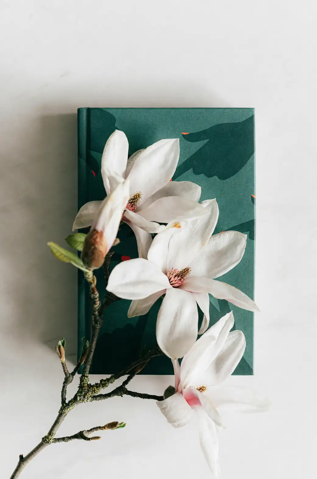 magnolia arrangement on table