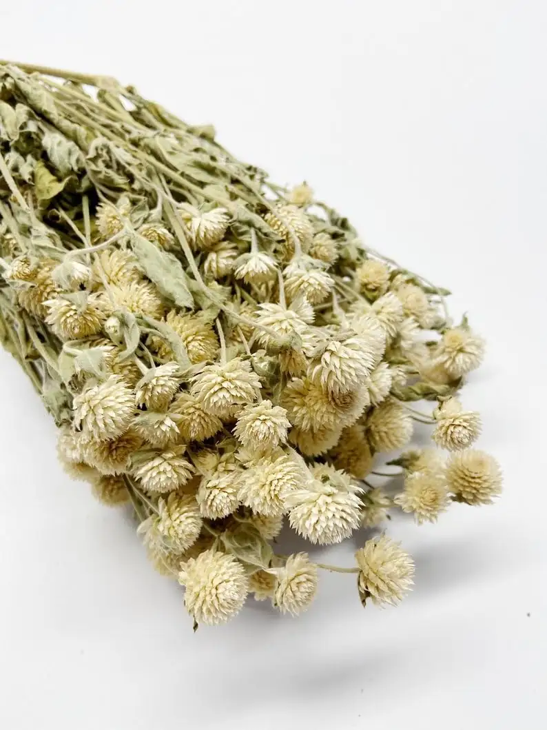 globe amaranth in wedding decor