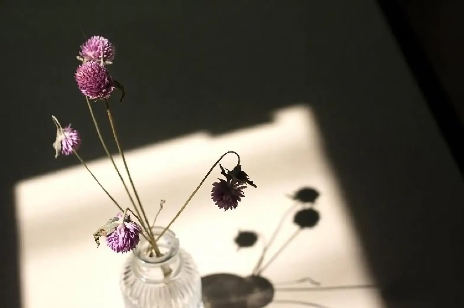 globe amaranth dried bouquet