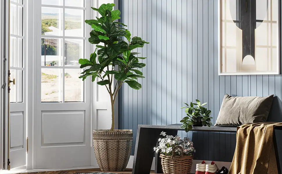 Feng Shui and the Fiddle Leaf Fig: A Symbol of Prosperity