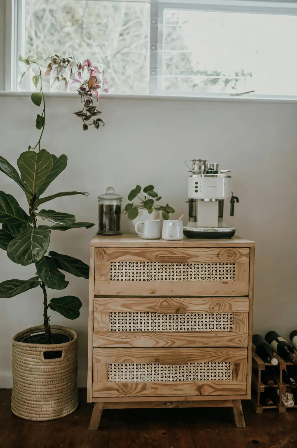 Companion Planting with Fiddle Leaf Figs: Perfect Pairings for Your Indoor Jungle