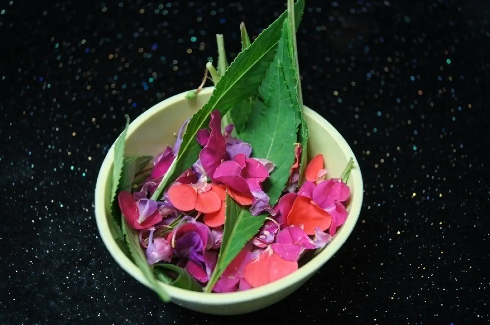 impatiens balsamina natural dye use