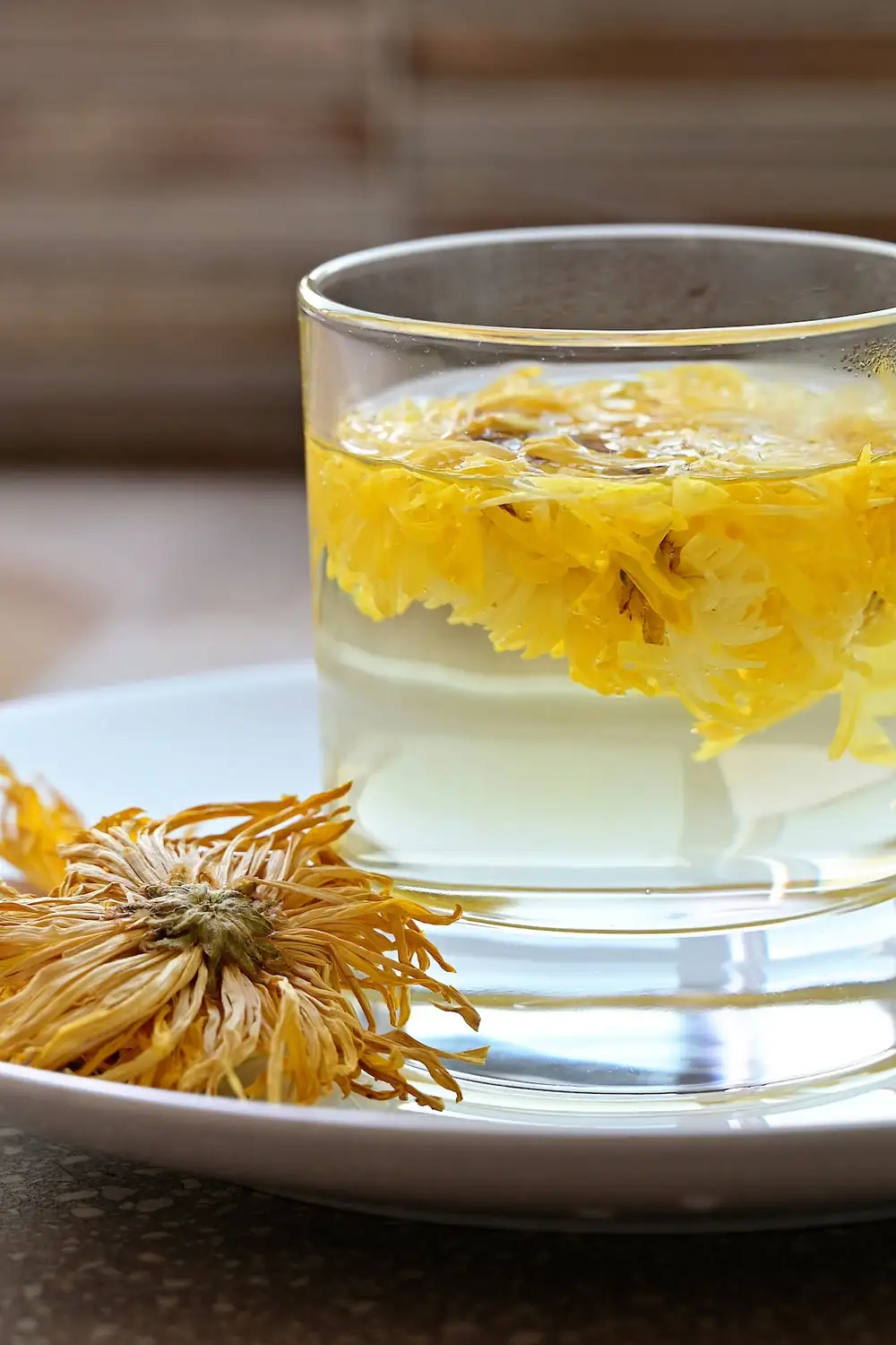 Mastering Mum Care: How to Keep Your Chrysanthemums Blooming Beautifully