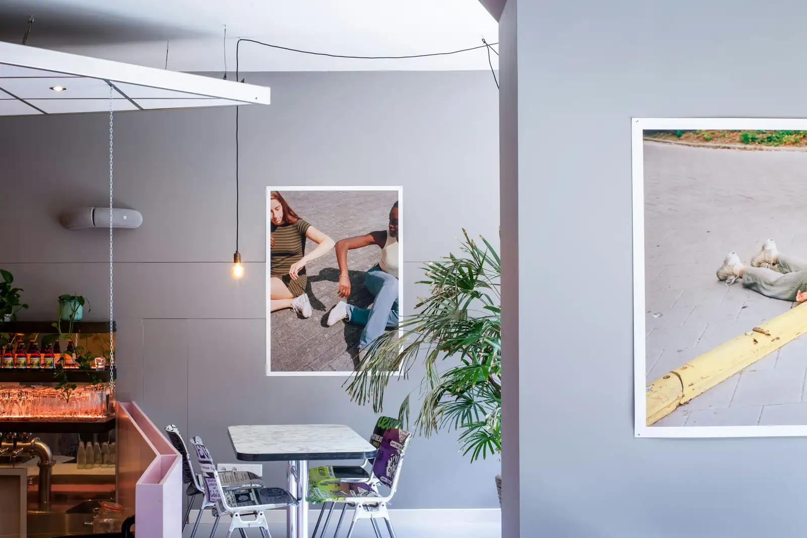 Transform Your Space: Using Schefflera in Interior Design