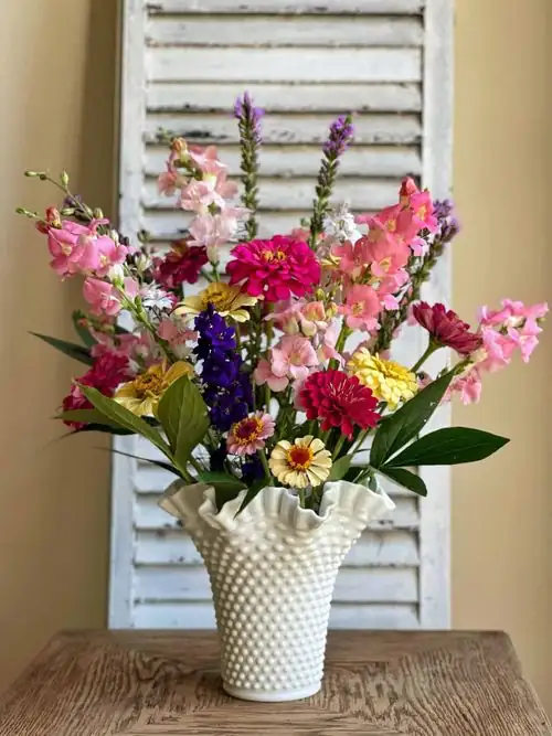 Snapdragon Splendor: Elevate Your Indoor Spaces with Vibrant Blooms