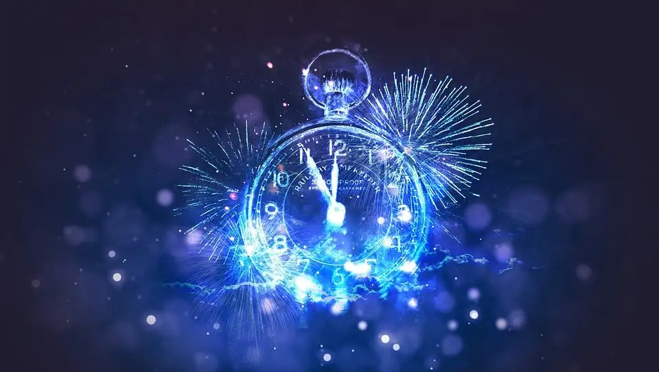 Camellia in New Year celebration