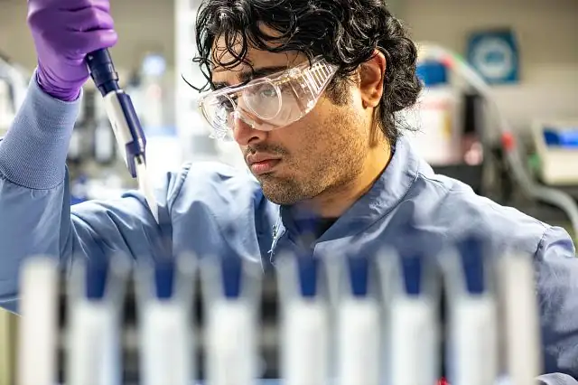 scientist conducting micronucleus assay with plants
