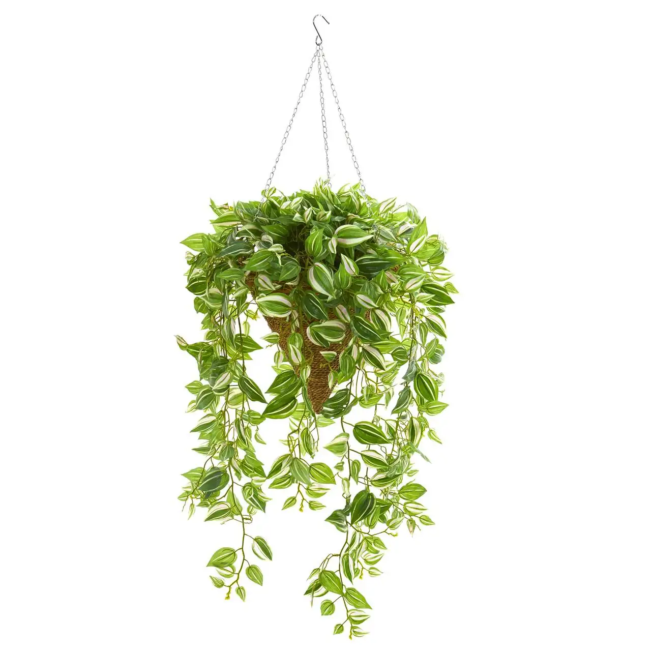 purple heart plant hanging basket