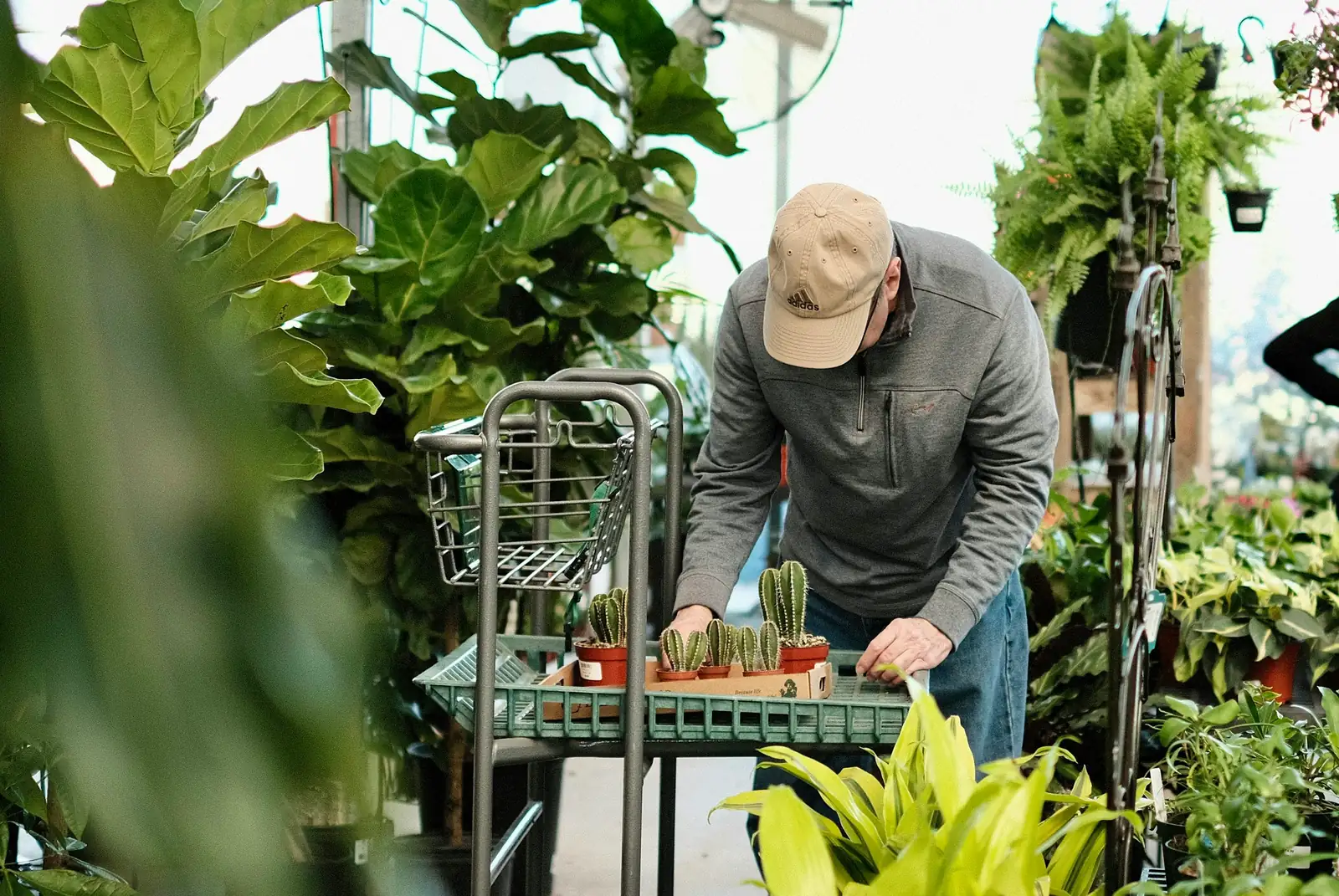 cross-referencing plant care guides