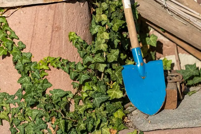 Navigating the Green Jungle: How to Choose the Right Gardening Advice