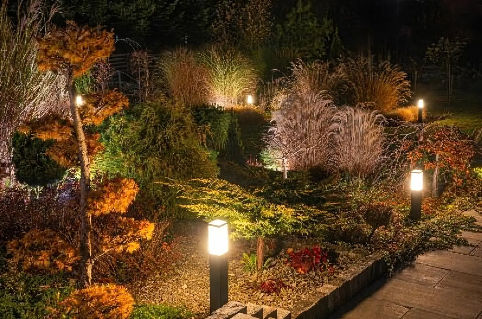 garden with varied light conditions
