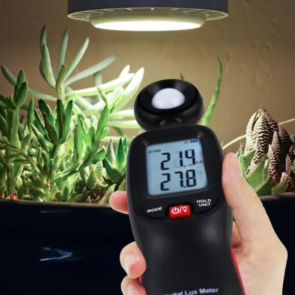 lux meter measuring plant light