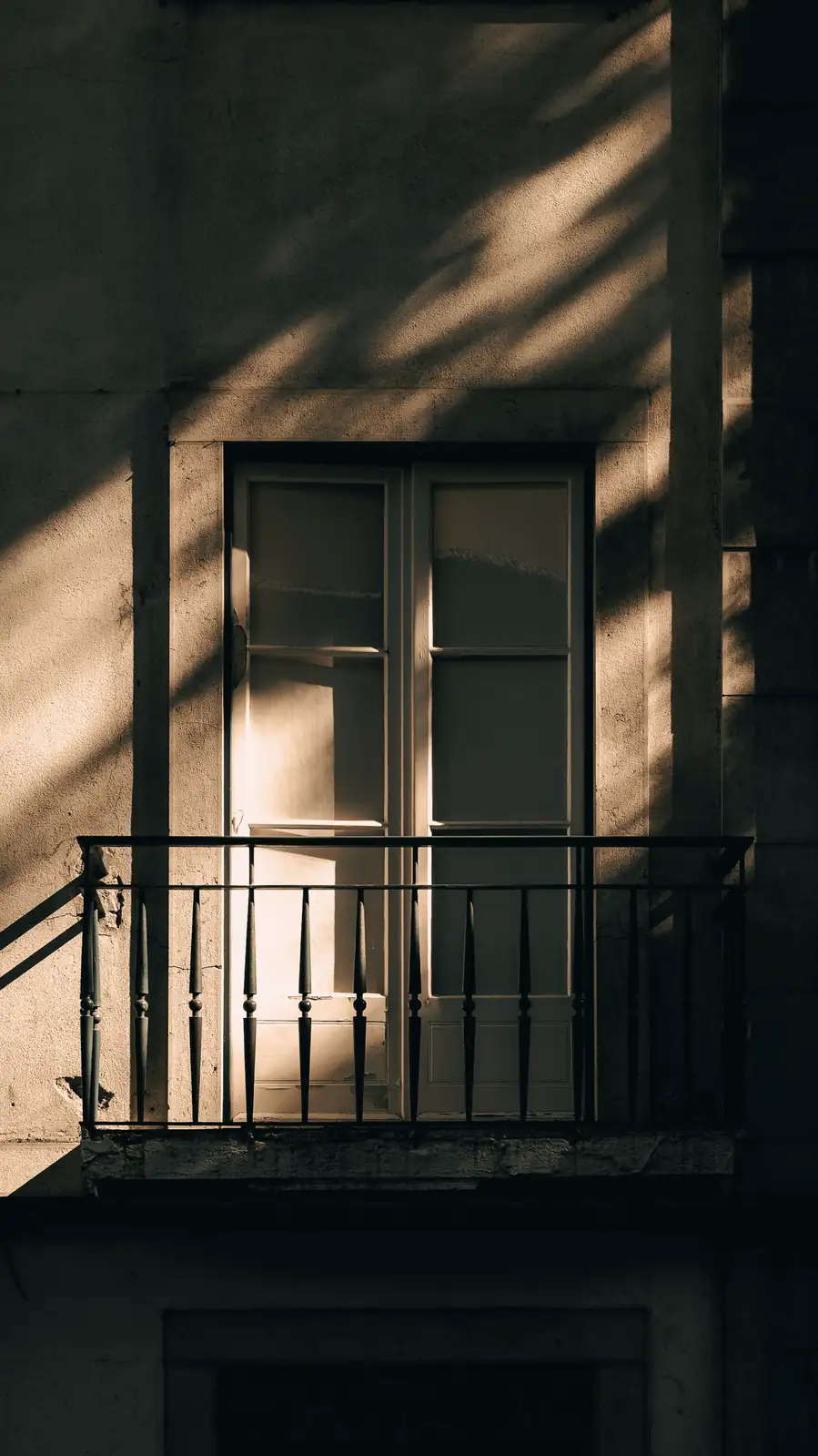 Balcony Bliss: Mastering Sunlight for Perfect Plant Placement
