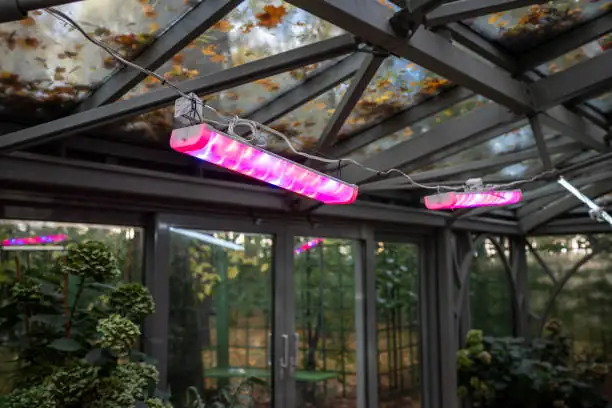 LED grow lights for plants