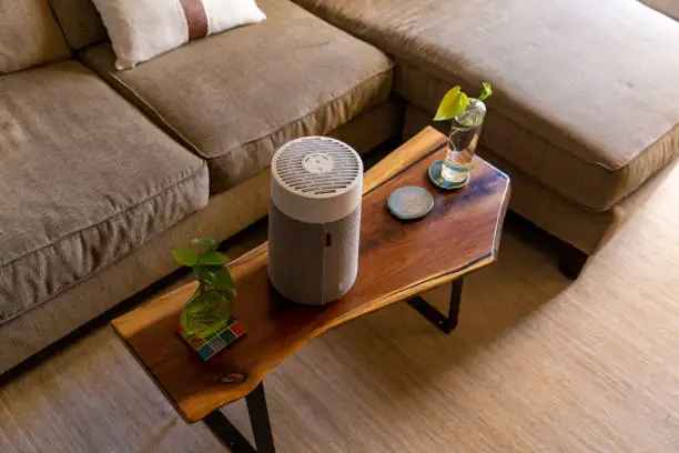 HEPA air purifier in living room