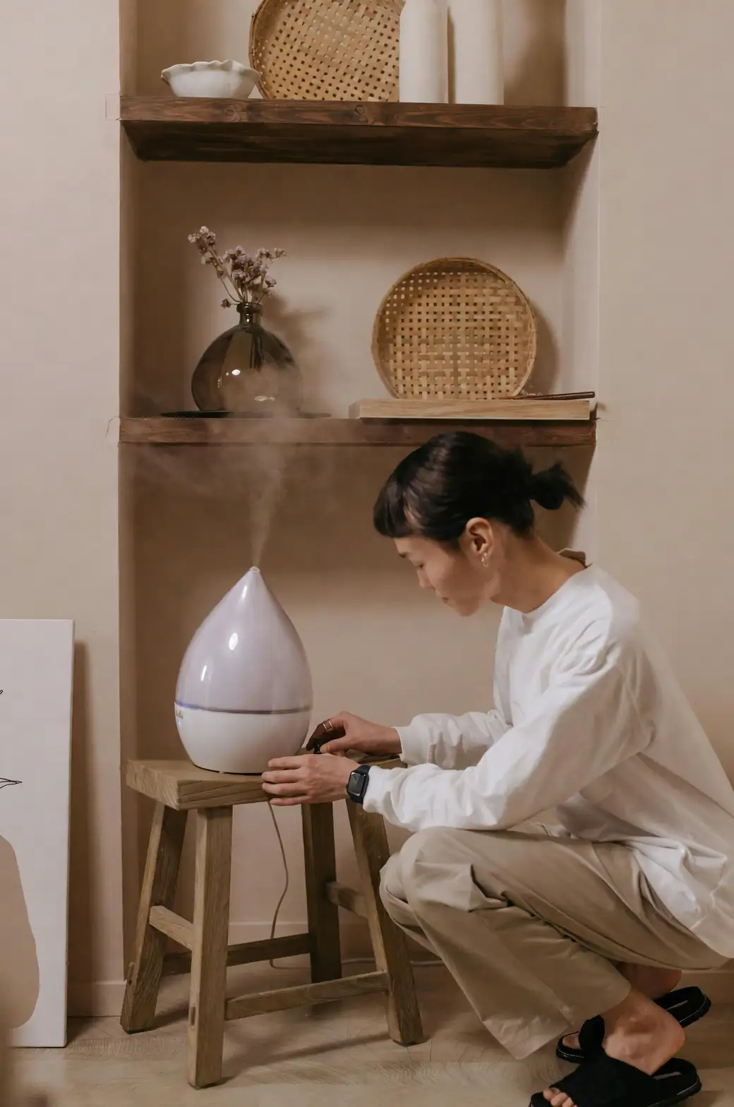 humidifier near houseplants