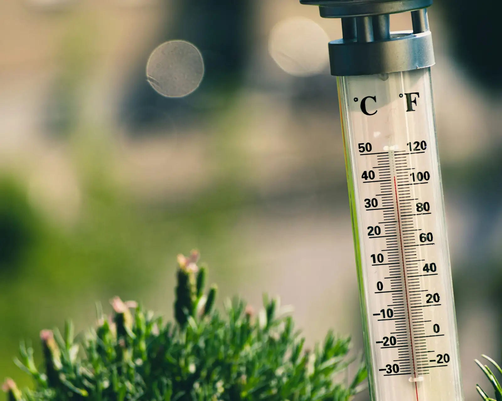 garden observation tools thermometer