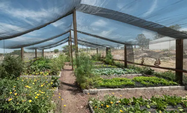 garden shade cloth installation