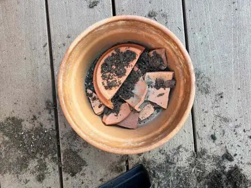 broken clay pot pieces