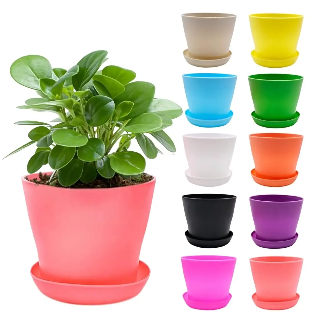 colorful plastic plant pots