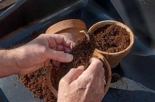 beginner gardener with clay pot