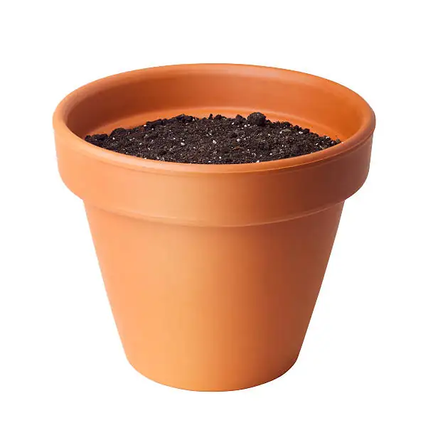 Size Matters: Watering Tips for Small and Large Pots