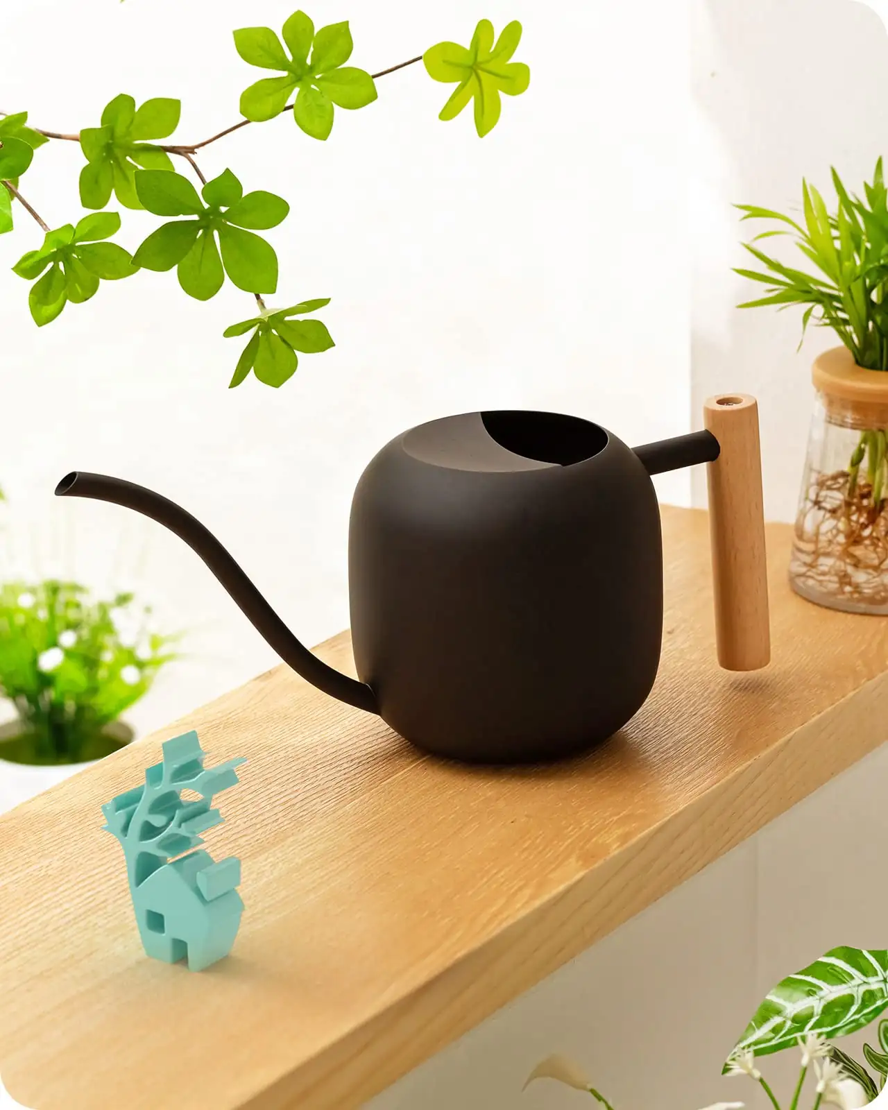 watering small indoor plant pot