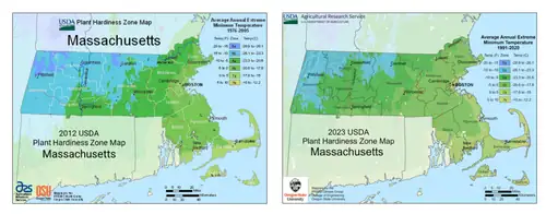 Watering Wisely: A Seasonal Guide to Plant Hydration and Climate Adaptation