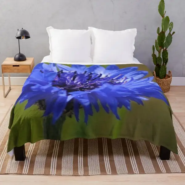 cornflower garden bed