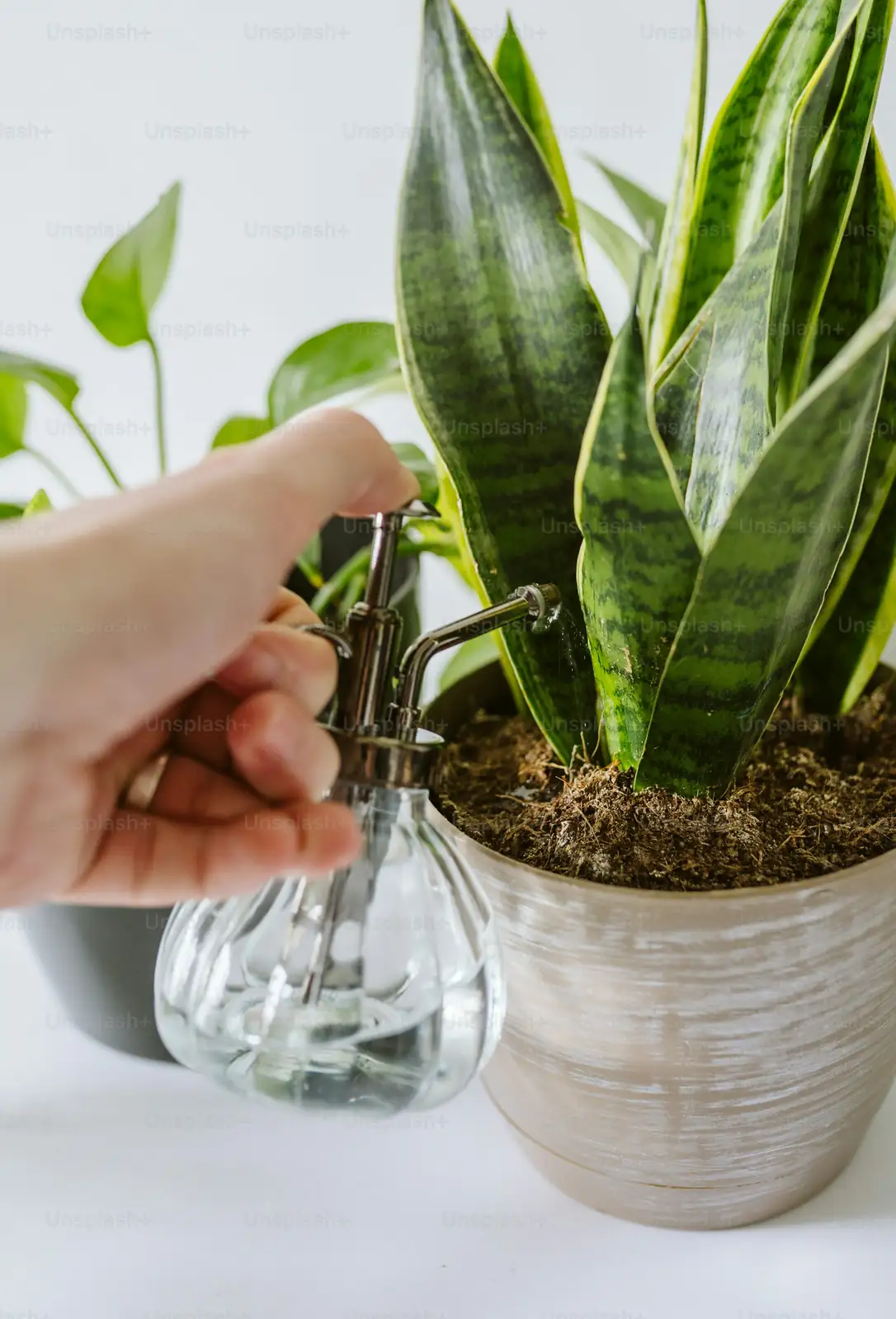 plant pot drainage holes