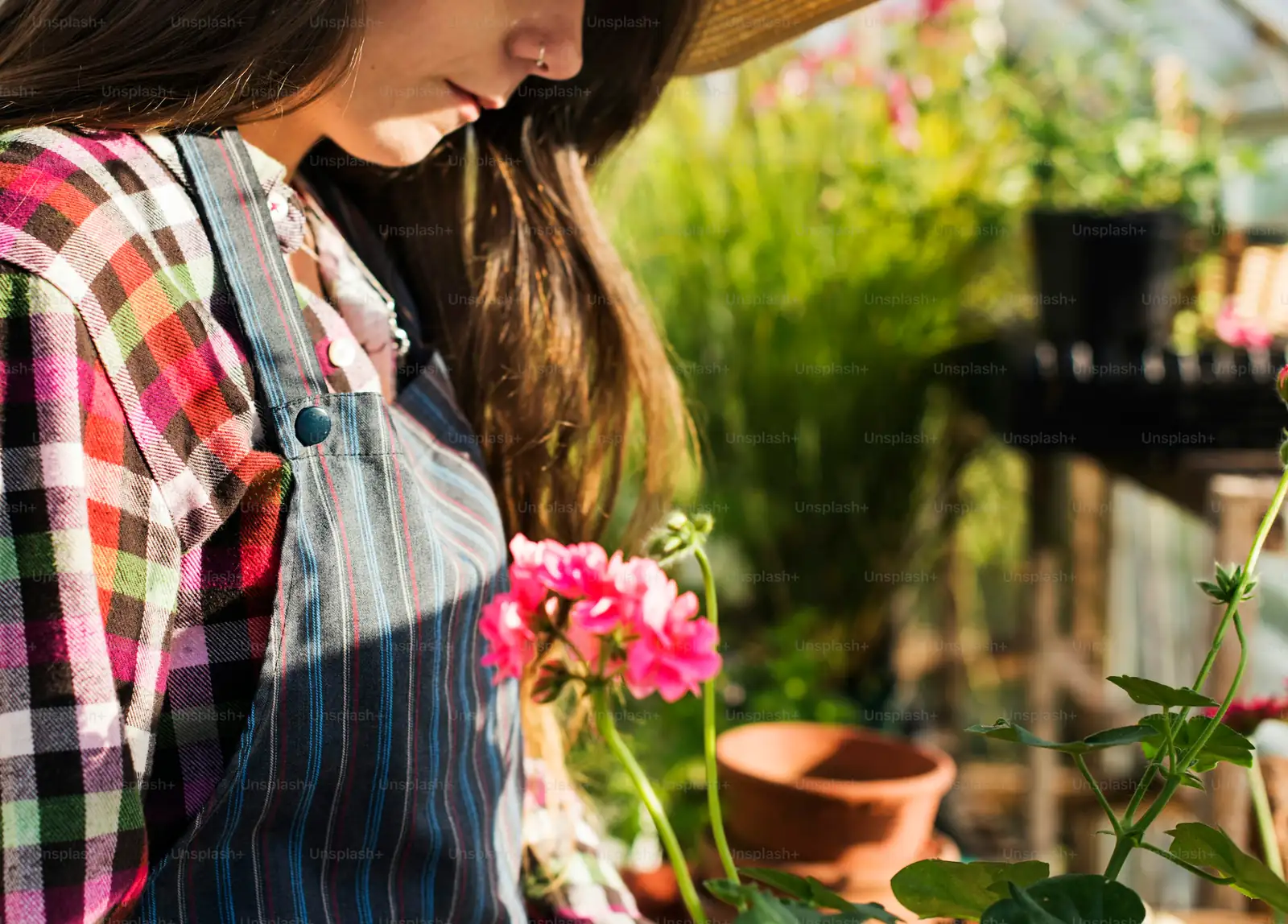Fertilizing Through the Seasons: A Year-Round Guide to Healthy Plants