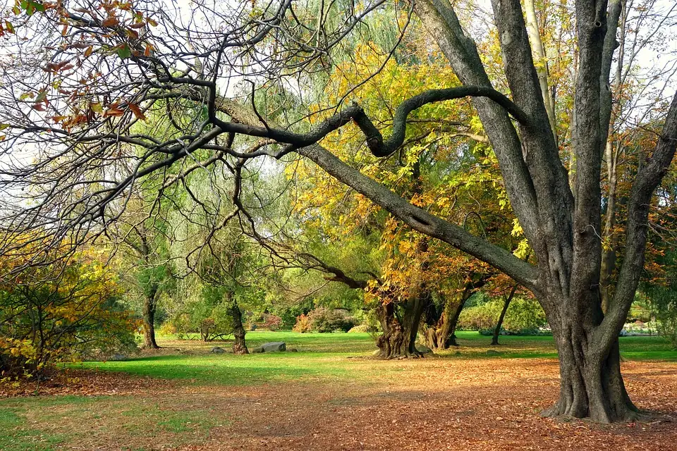 fall garden preparation