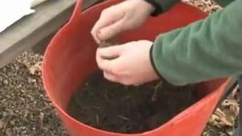 soil testing in garden