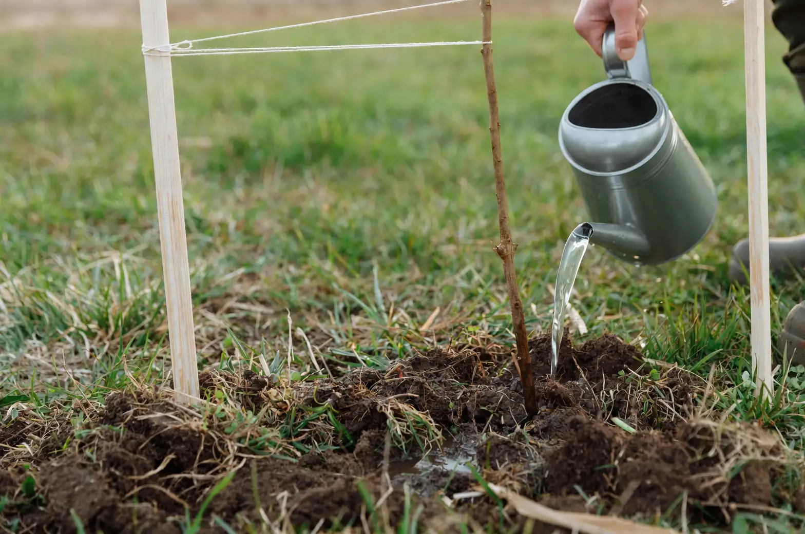 leaching soil with water