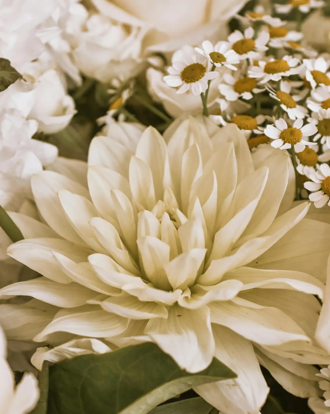 dahlia floral arrangement